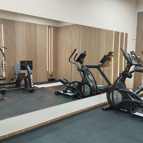 Wellness - Fitness Room