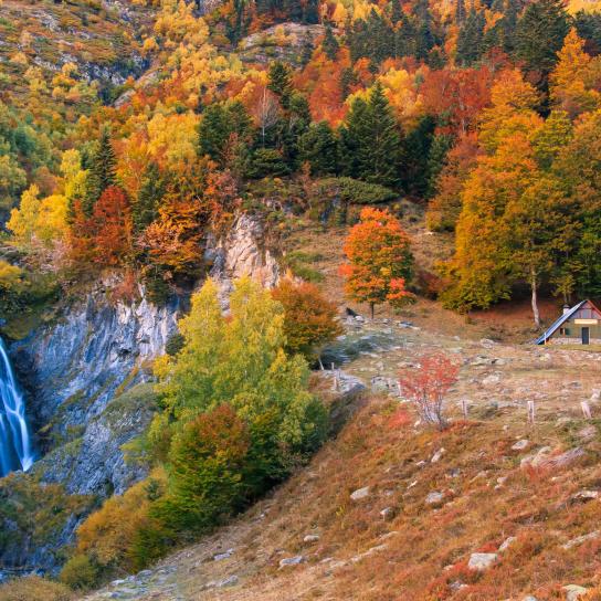 Descubre el Hotel Eth Solan & Spa