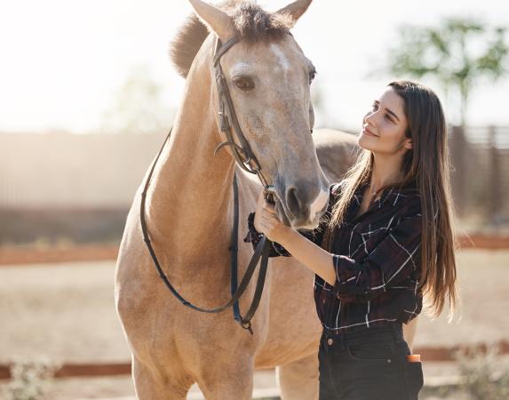 Horse tours