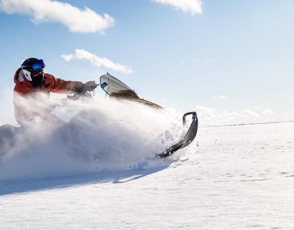 Guided snowmobile or dogsled